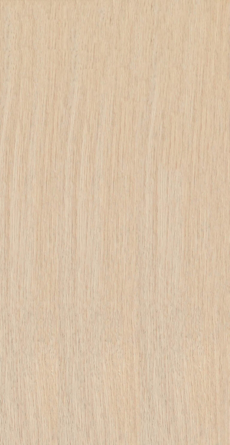 AF-S003
